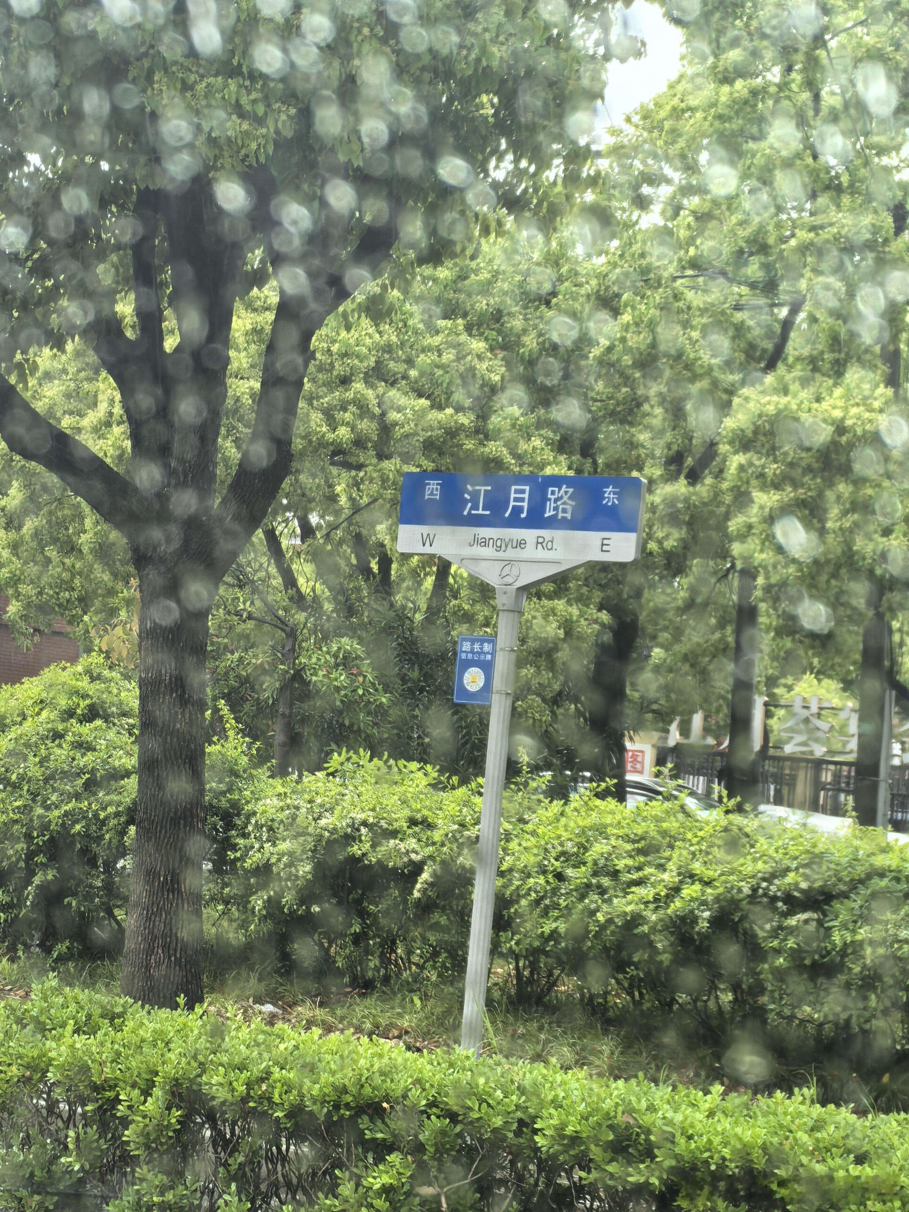 我大约是与大上海气场不合的，不仅仅因为十几年前在火车站被骗，或者几年前在江山路的