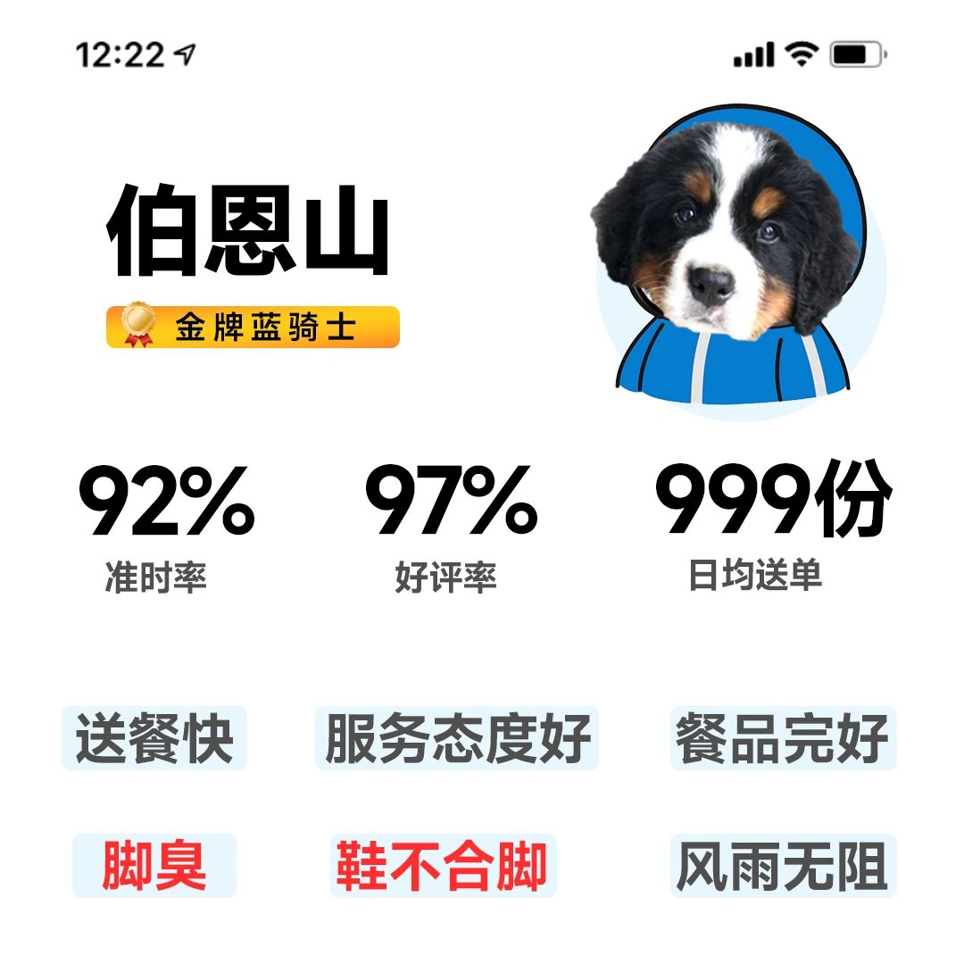 不同小狗骑士评分
