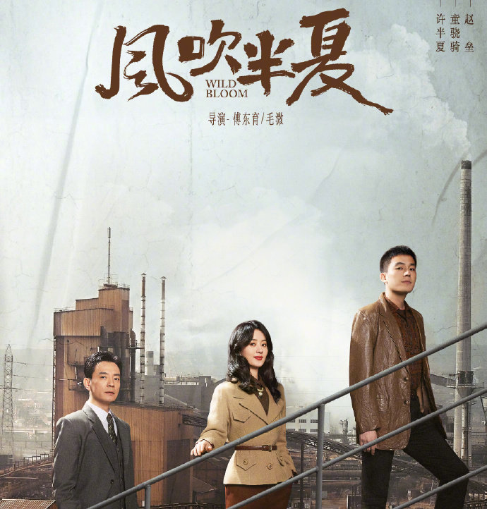 第32届金鹰奖，赵丽颖凭借《风吹半夏》获得最佳女主角。金鹰视后二封，飞天视后，今