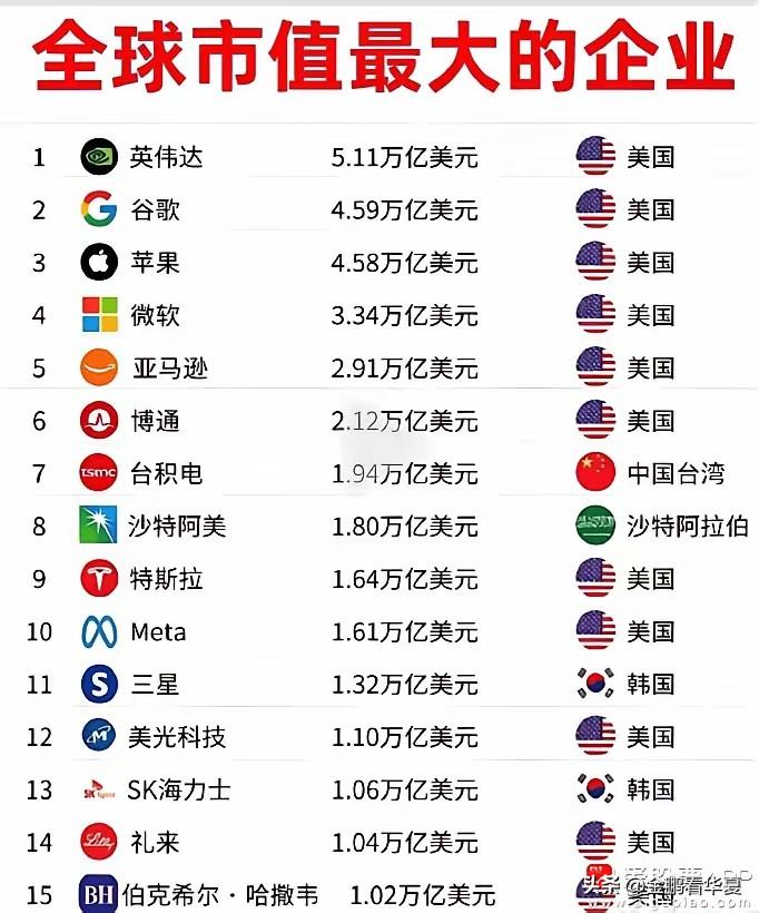全球市值最大的15家企业，基本上都在美国，但中国的华为，长江储存，晋华储存，中芯