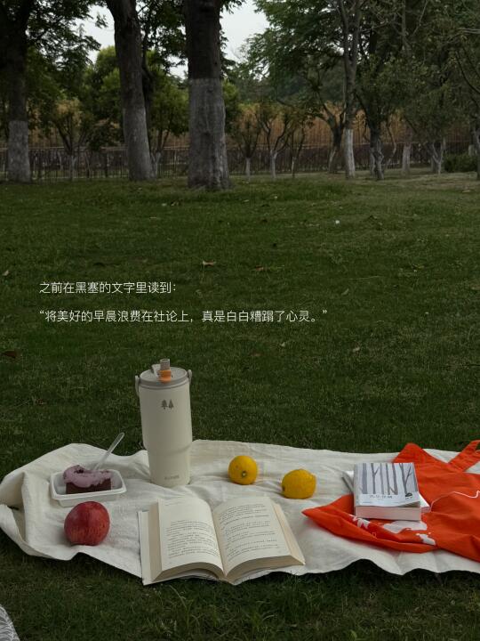 我会清晨七点去公园读书。