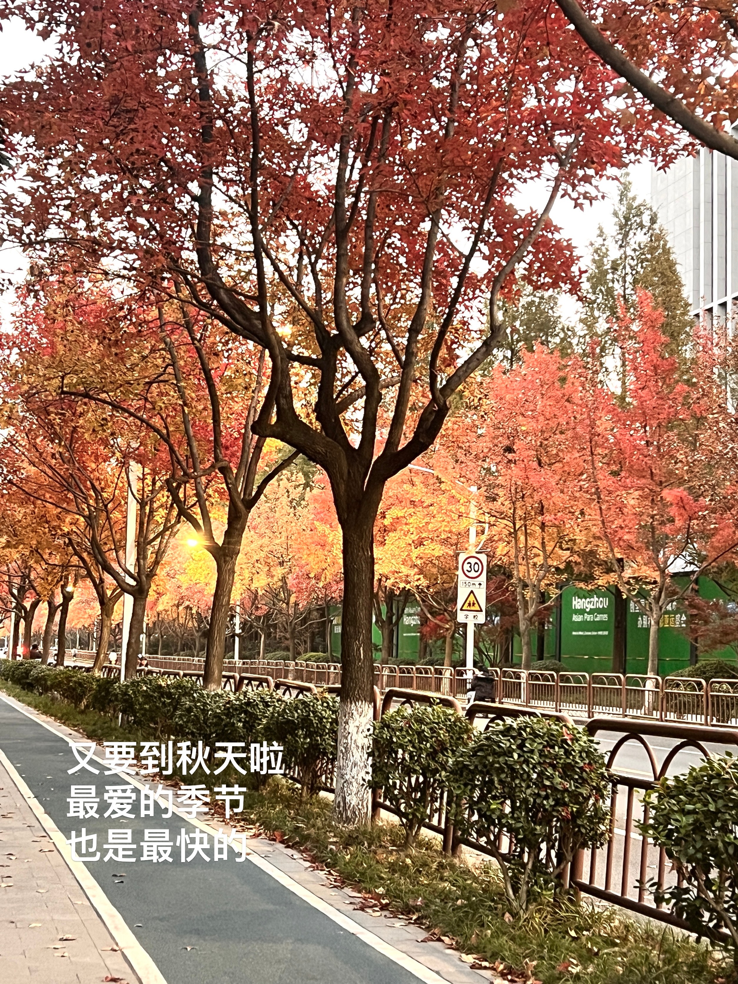 倘若時間只是人為的停頓🕰️☆₊⁺沉浸式入秋玩转开学季大学生喜爱内容共创计划校园