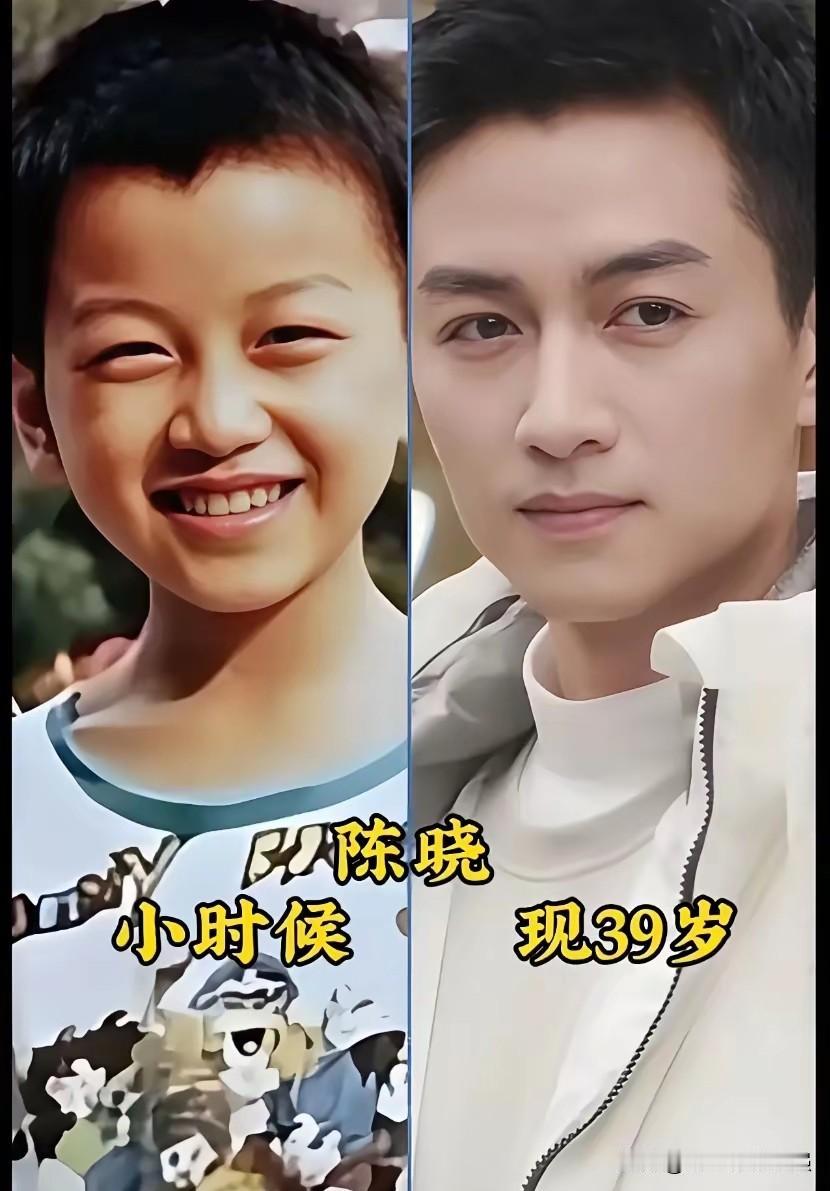 十位当红男星童年今昔对比，从小帅到大，谁的变化最大
陈晓、成毅、杨洋、任嘉伦、肖
