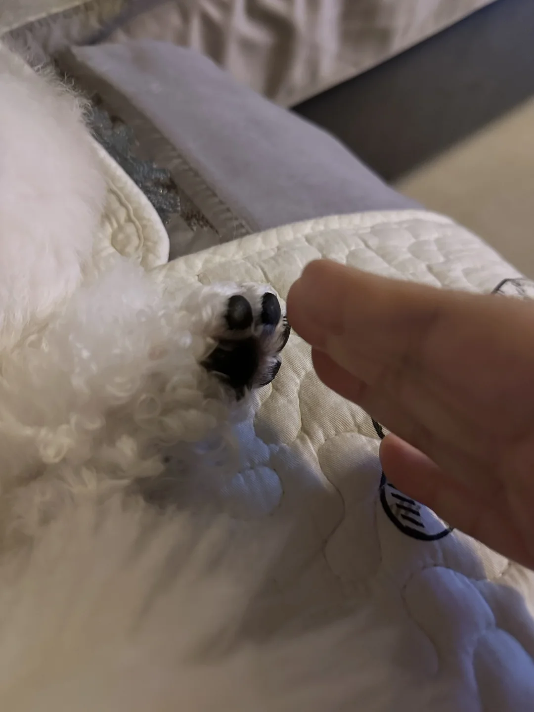 跟所有的烦恼说拜拜