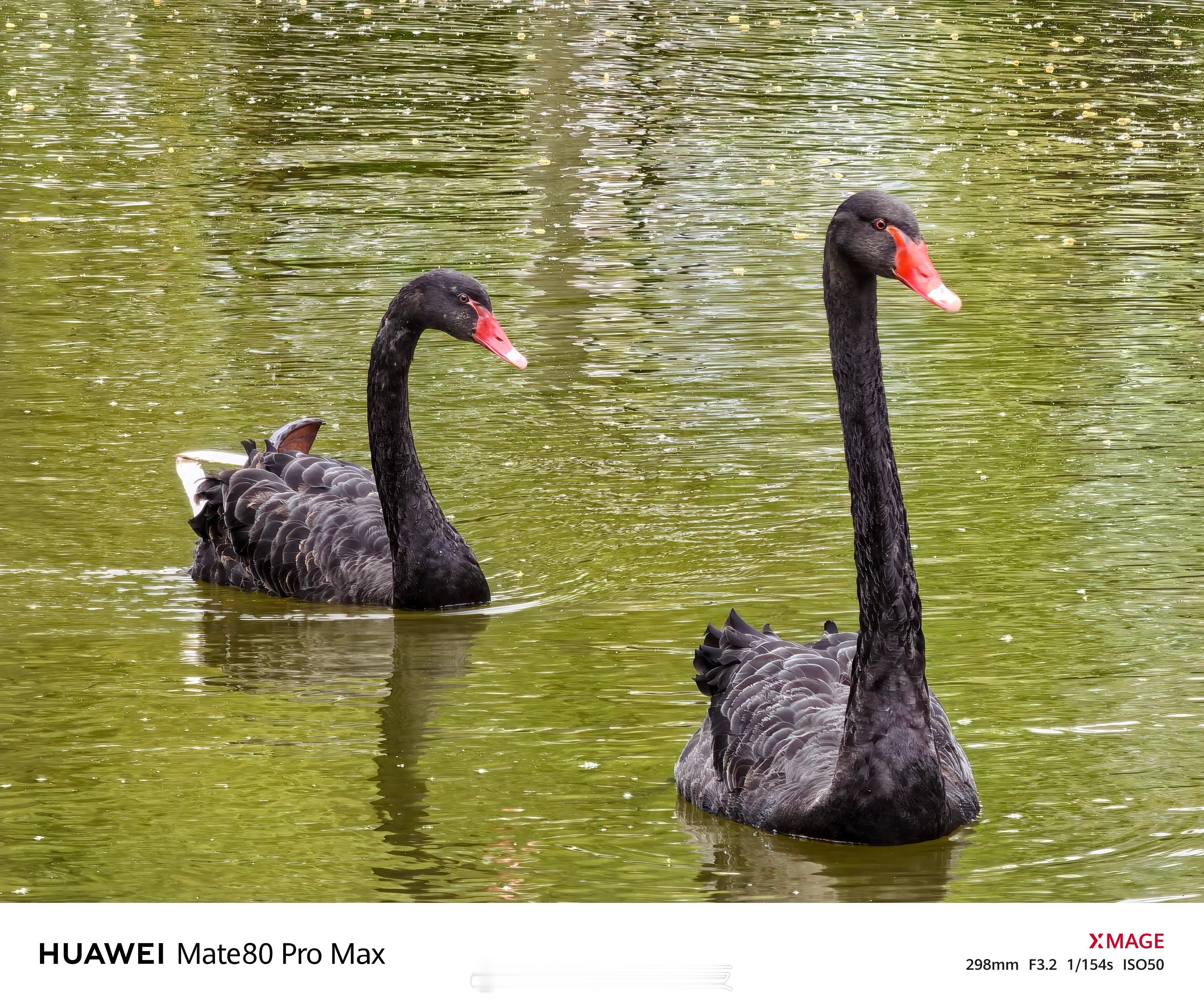 坐稳扶好准备起飞了！Mate80ProMax的长焦表现如何