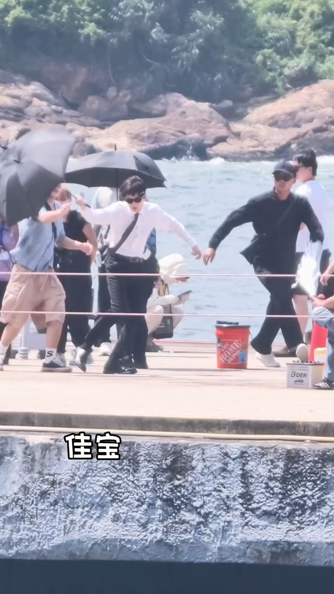 一朵风中摇曳的鼠妞花 ​​​