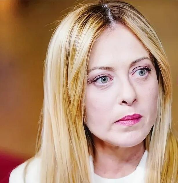 快讯！欧洲突然放狠招！
意大利总理梅洛尼，今天在议会放了个大招。

4月9日，她