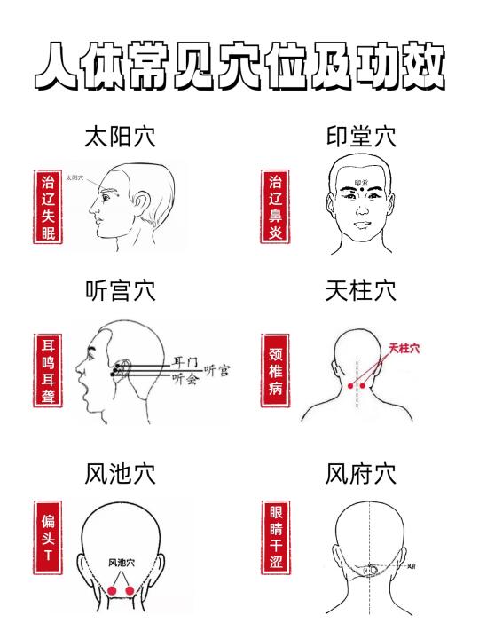 🔥人体常见穴位及作用分享|养苼必看！