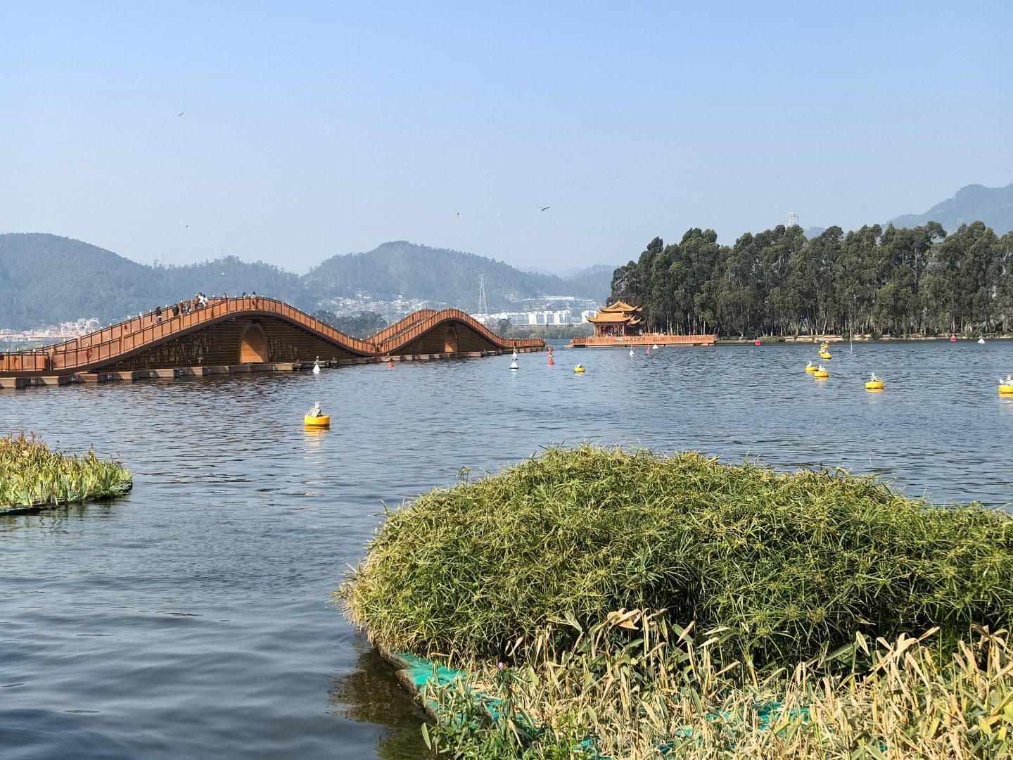 春风十里昆明有你 滇池草海之上，一条“金龙”蜿蜒卧波，这便是昆明新晋的水上地标—
