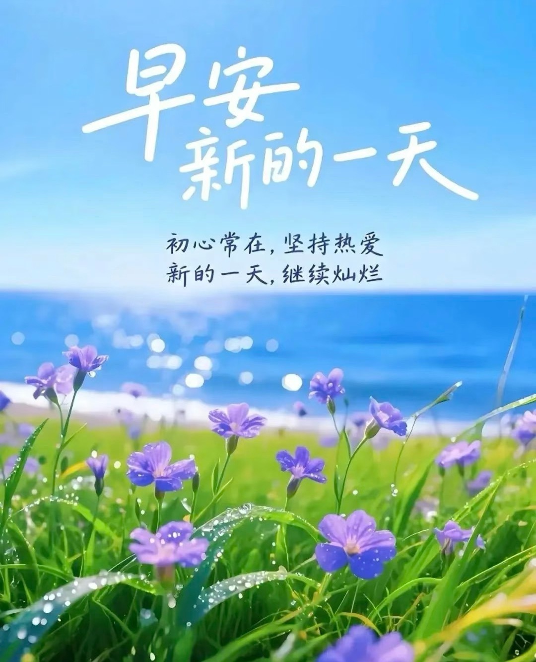 早安  𝒢𝑜𝑜𝒹 𝑀𝑜𝓇𝓃𝒾𝓃𝑔🌱努力是幸运的伏笔，付出