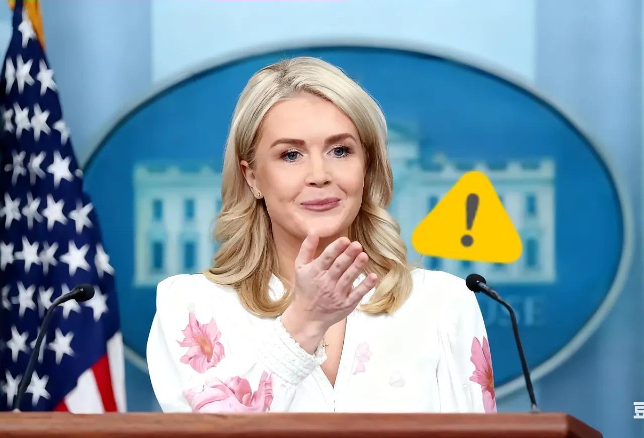 快讯！快讯！
白宫：不允许AI芯片出口

今天凌晨，卡罗琳在例行记者会上对外表态