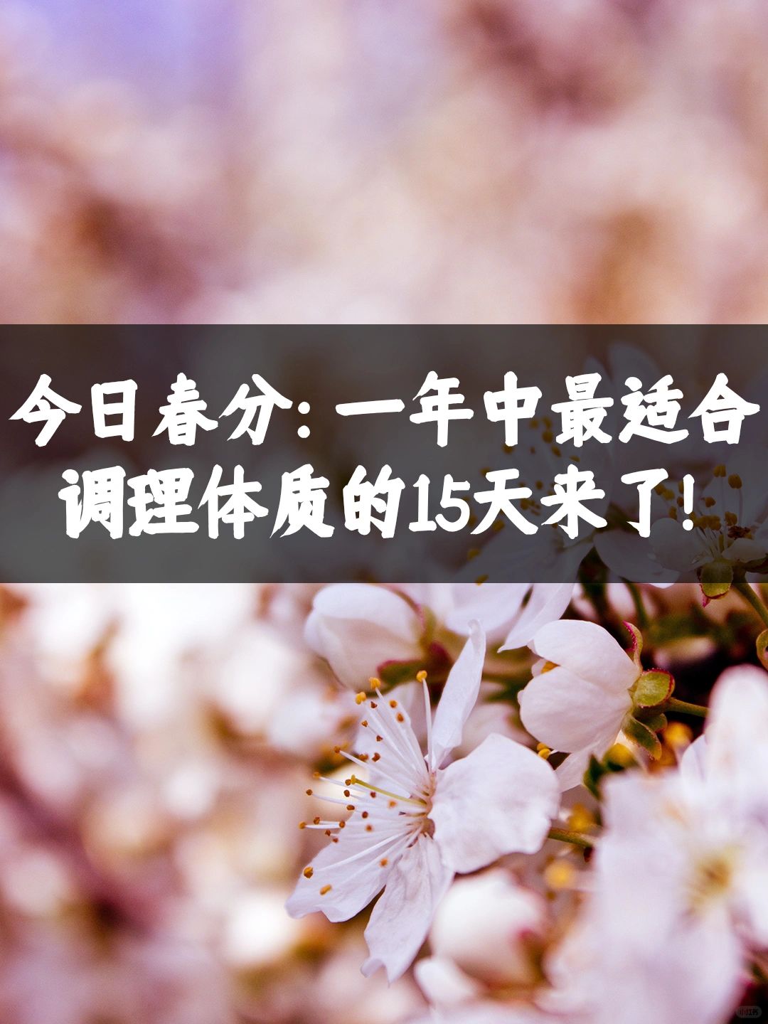 今日春分，抓住一年中养生黄金15天！