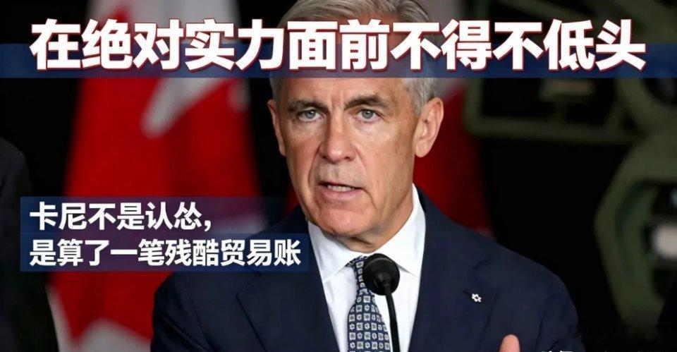 在绝对实力面前不得不低头。很多人觉得加拿大总理卡尼选择让步，是向美国低头认怂。但