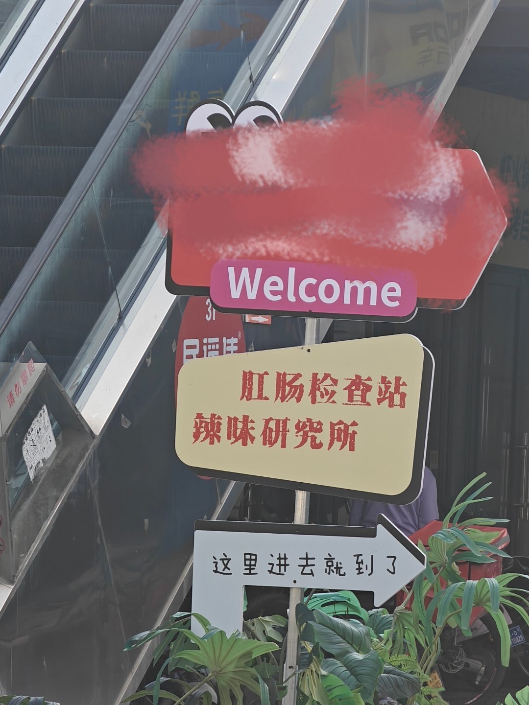 这啥？？[流汗] ​​​