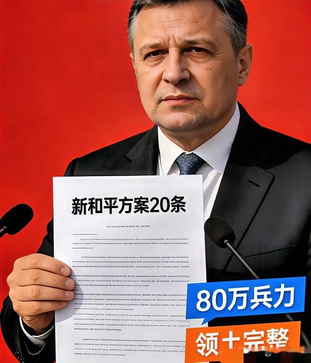 乌克兰突发
精简和平方案！
20条诉求直指核心，底线绝不让步
 
12月9日乌克