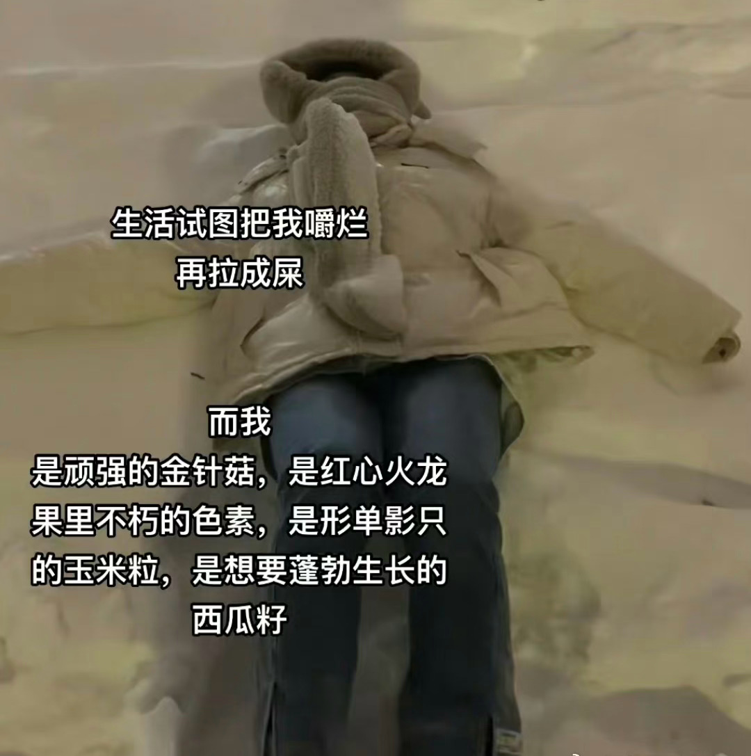 话糙理不糙，但这话也太糙了，可真是一场酣畅淋漓的比喻[哆啦A梦害怕][哆啦A梦害
