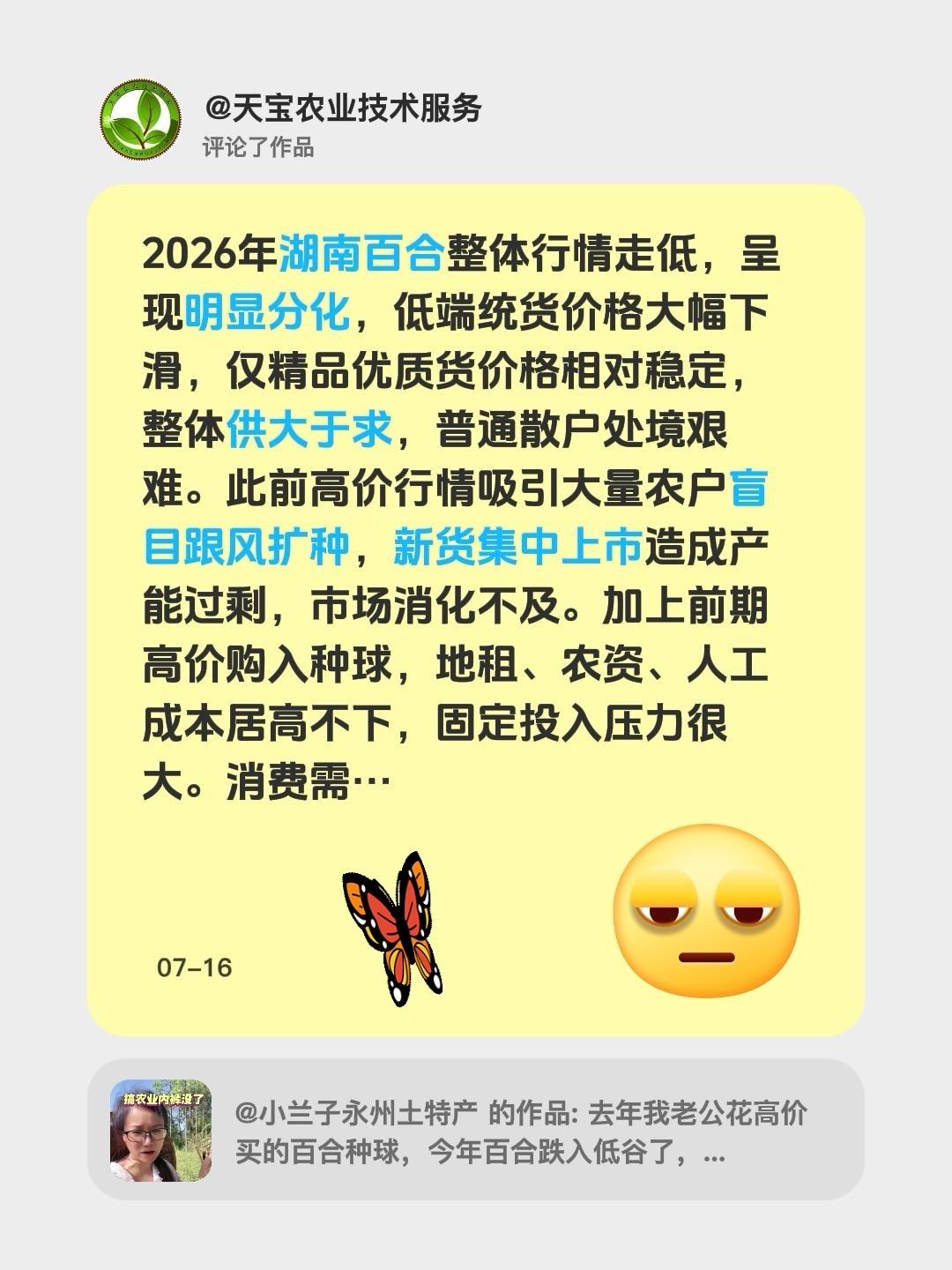 2026 年湖南百合价格为啥大幅下跌？我评论了@小兰子永州土特产 的作品：
20
