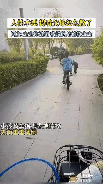 真的大开眼界，自作聪明去招惹狗狗，最后反倒坑了自己。
       小男孩骑车路