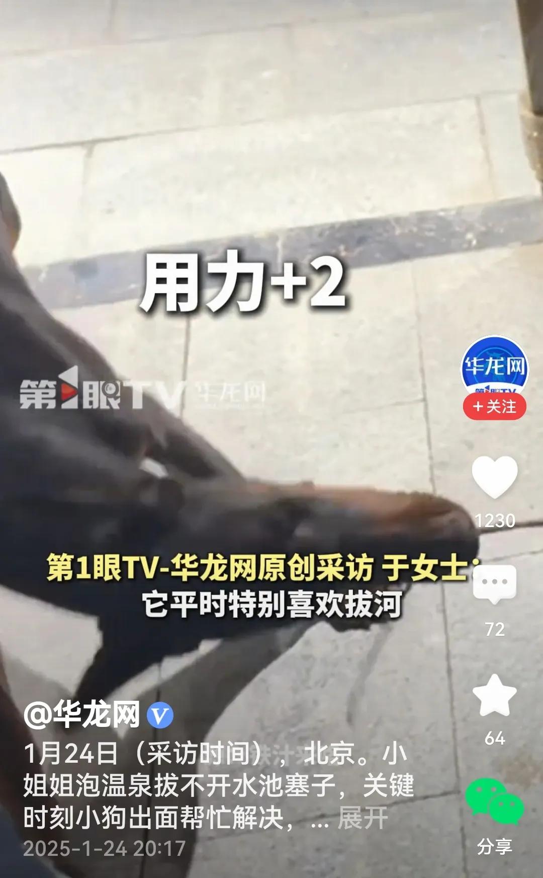 狗狗帮忙
关键时刻，狗比男人都靠谱？

话说三个小姐姐带着各自情侣泡温泉，无奈水