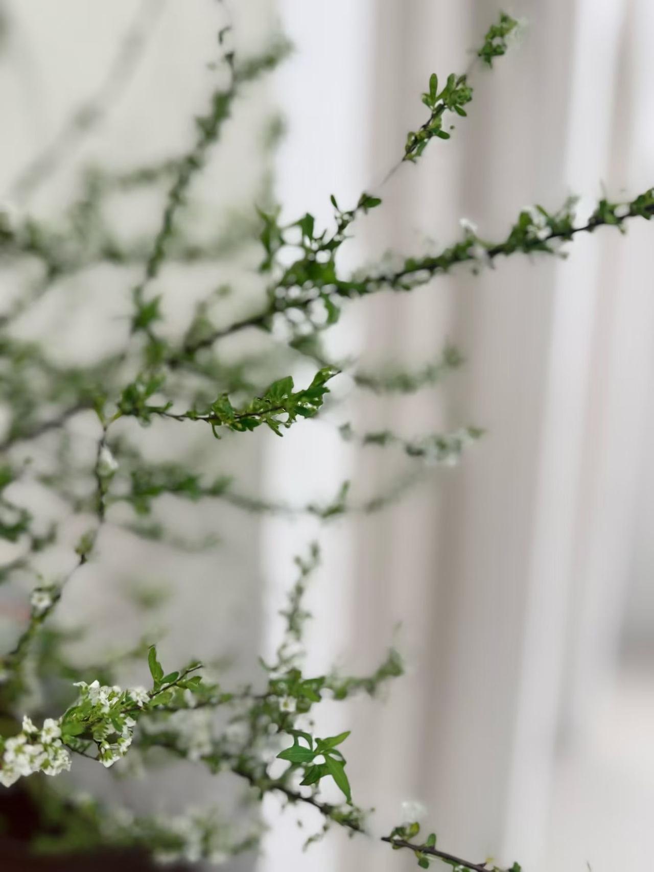 原来的同事兴冲冲告诉我，她们单位发奖金了，转眼又犯难，扣税一千多，她的同事都在找