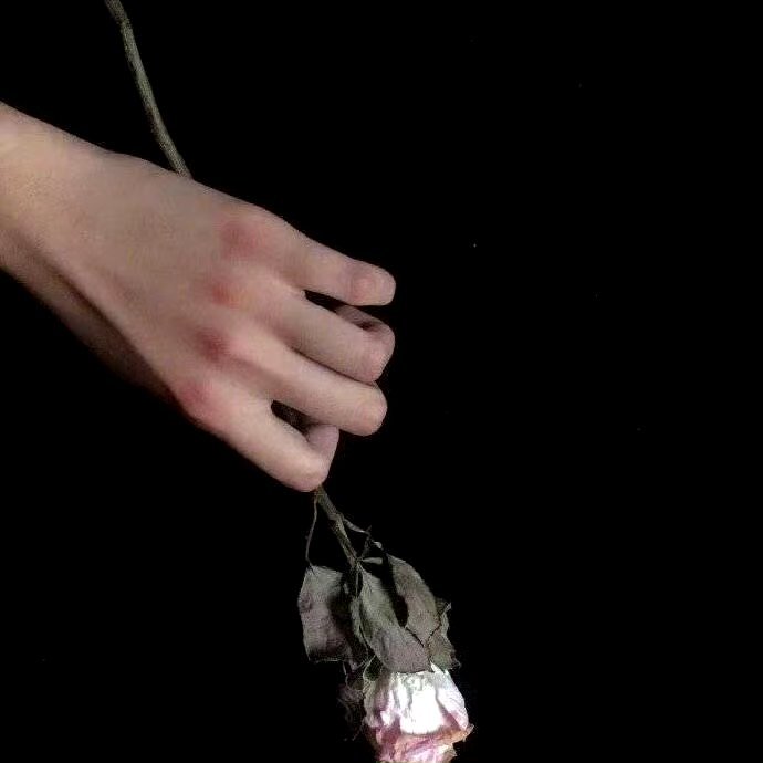 “世间十二大本质。”生存的本质——饮食与男女；社交的本质——交换与交配；欲望的本