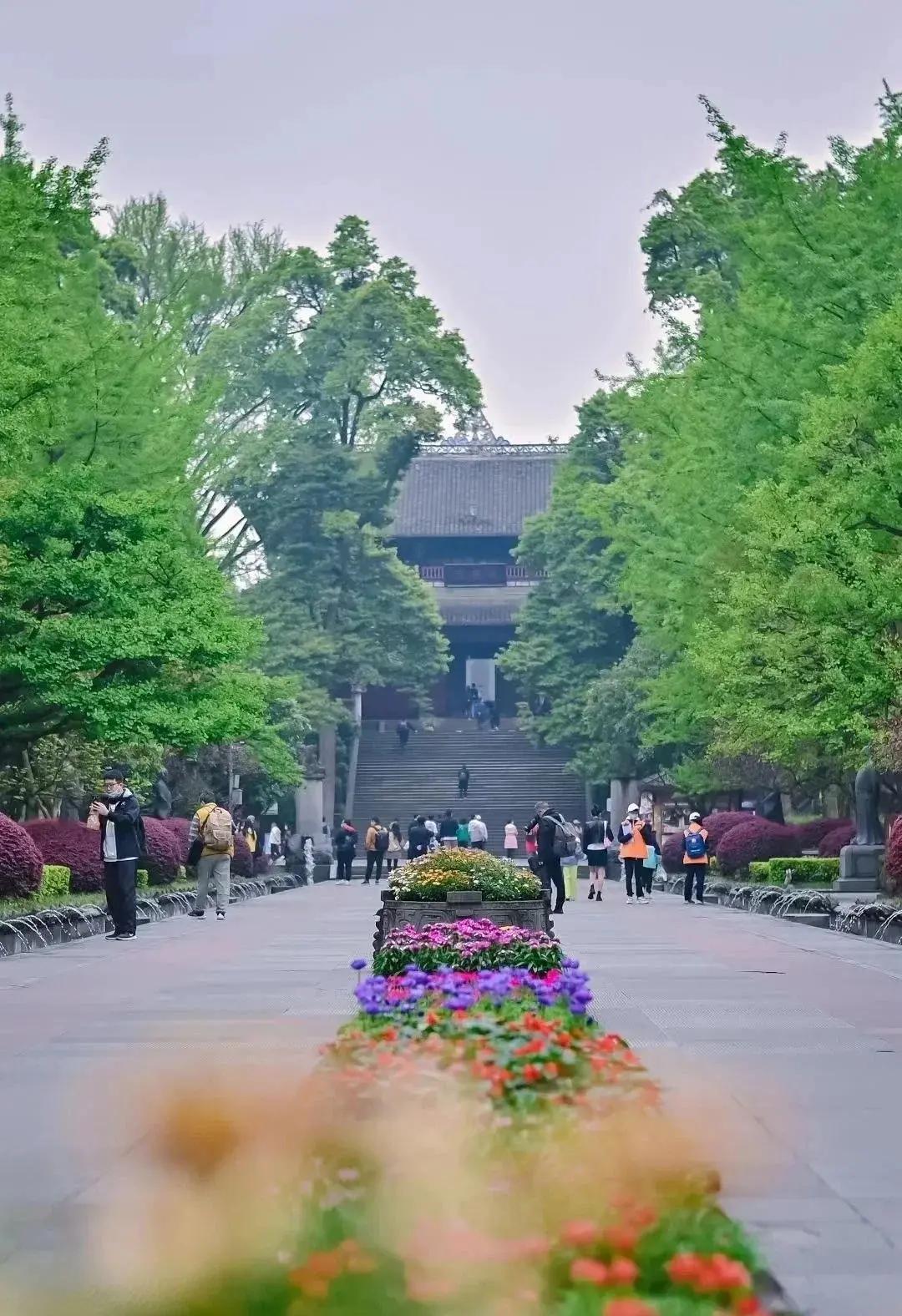 记录我的2026