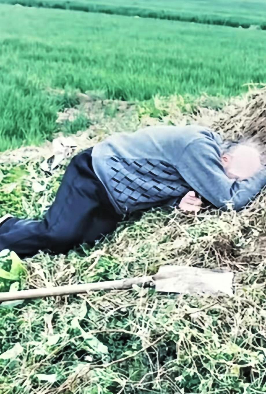 村里的一位80岁老人，非要去给他自己的父母上坟，半个小时的路程愣是走了两个小时，