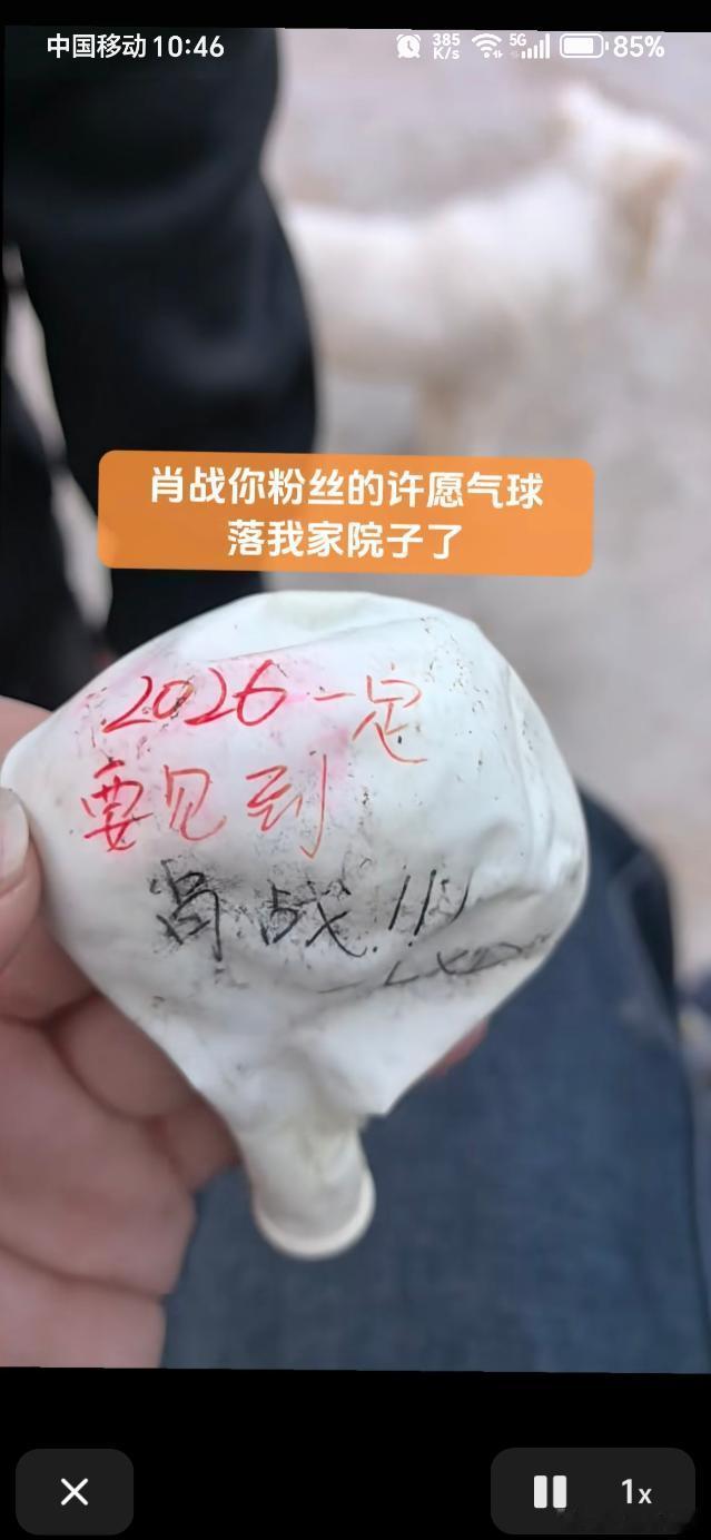 这是哪个小飞侠的许愿气球，落在网友的院子里了