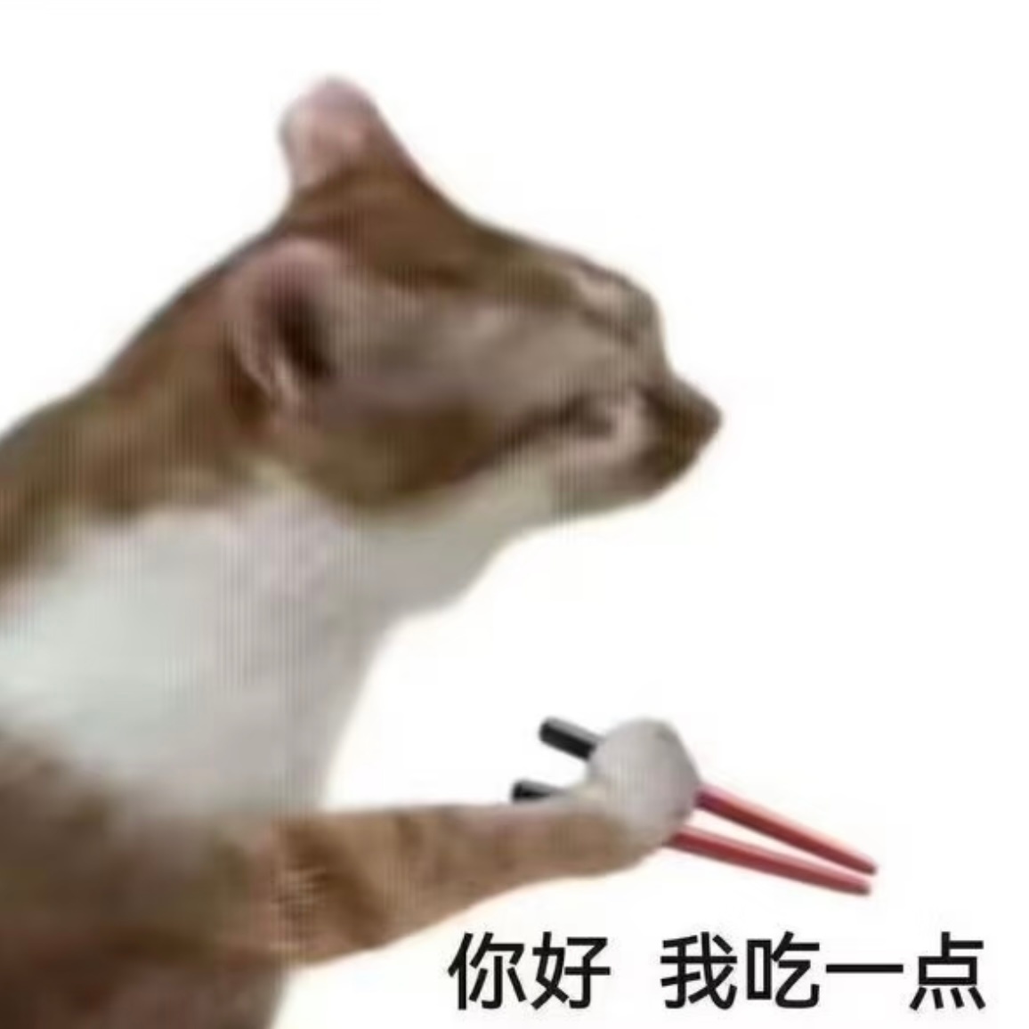 好图共享 ​​​