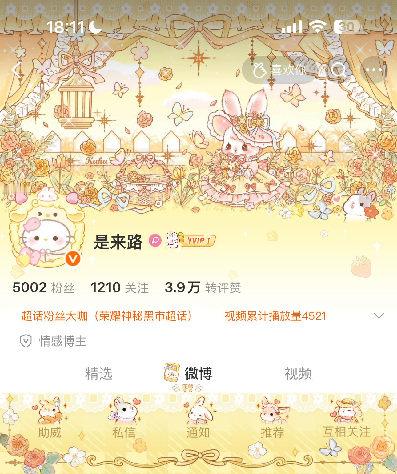 兔兔🐰 