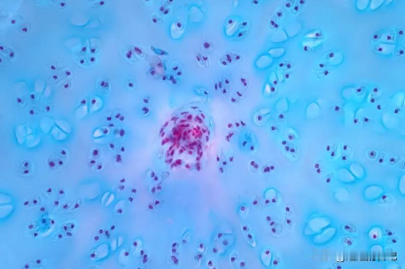 其外无大（五大），其小无内，这就是人在修行过程当中要体会的一件事。
实际我们来到