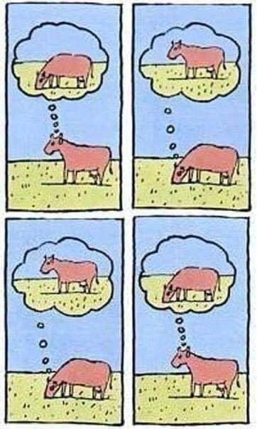 ： ​​​