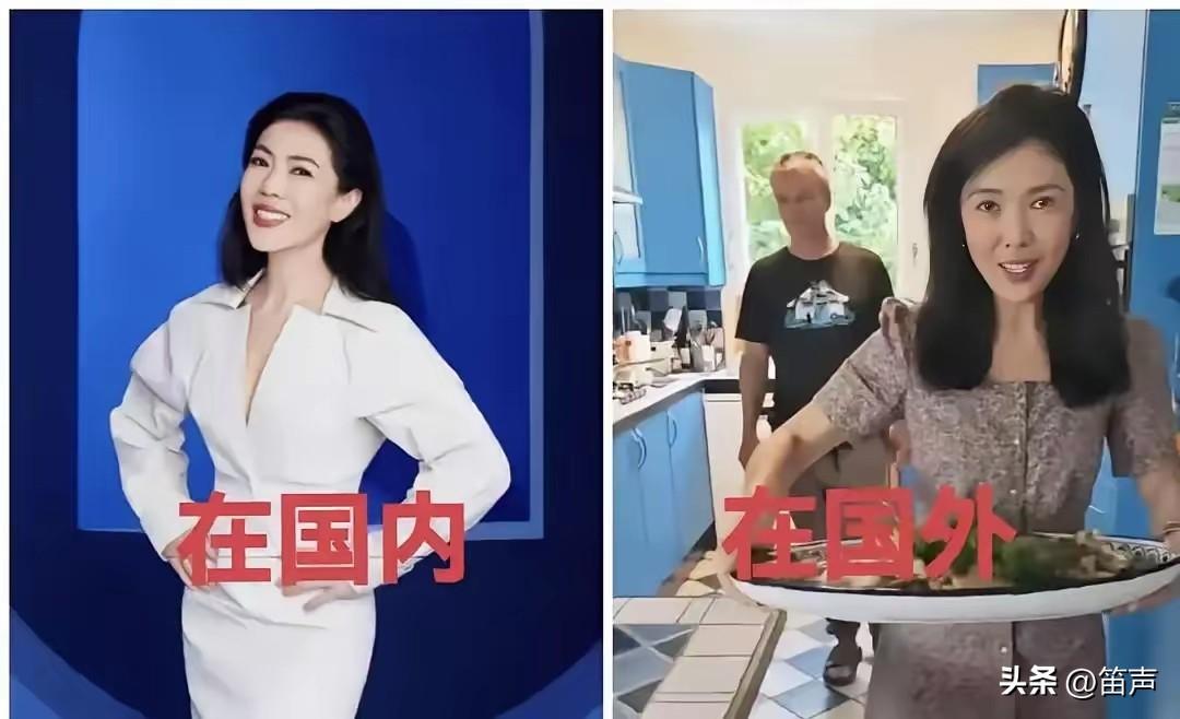 在国内是独立女性
嫁到国外就成了给一大家子做饭的主妇
被网友称为法兰西第一女仆，