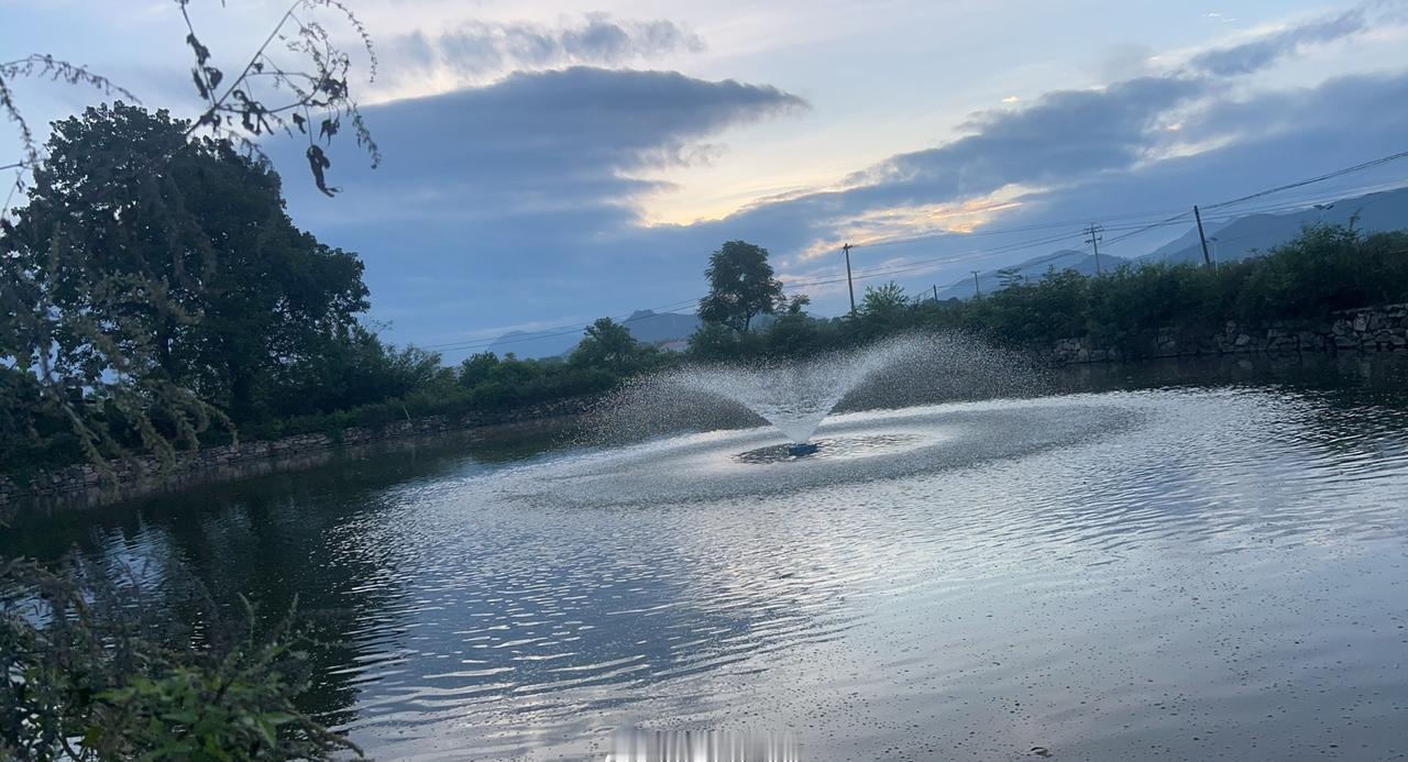 赣州市， 今天多云，33℃ /25℃ ，北风2级，空气质量 优 黄色大雾预警 —
