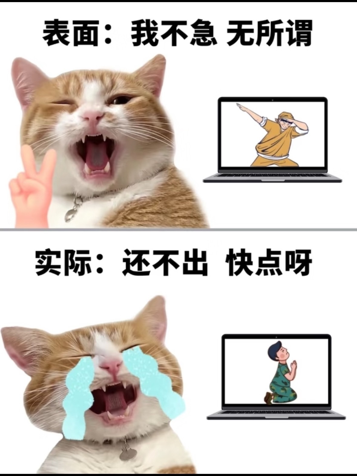 不同分数填志愿时的家长belike出分后家里氛围直接分层，高分家长从容挑名校，中