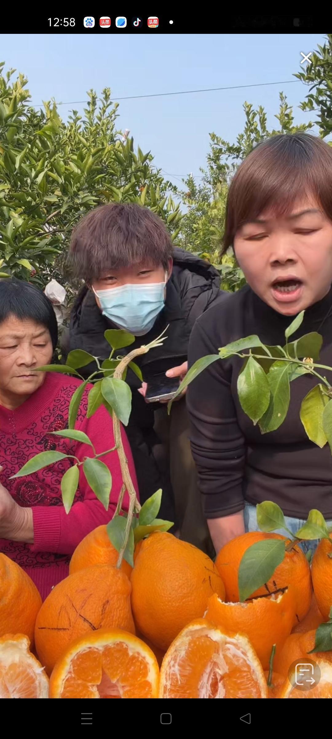 叶锐聪妈妈带着桃姐和叶锐聪在四川带货粑粑柑 ，叶锐聪的妈妈让叶锐聪来给大家介绍的