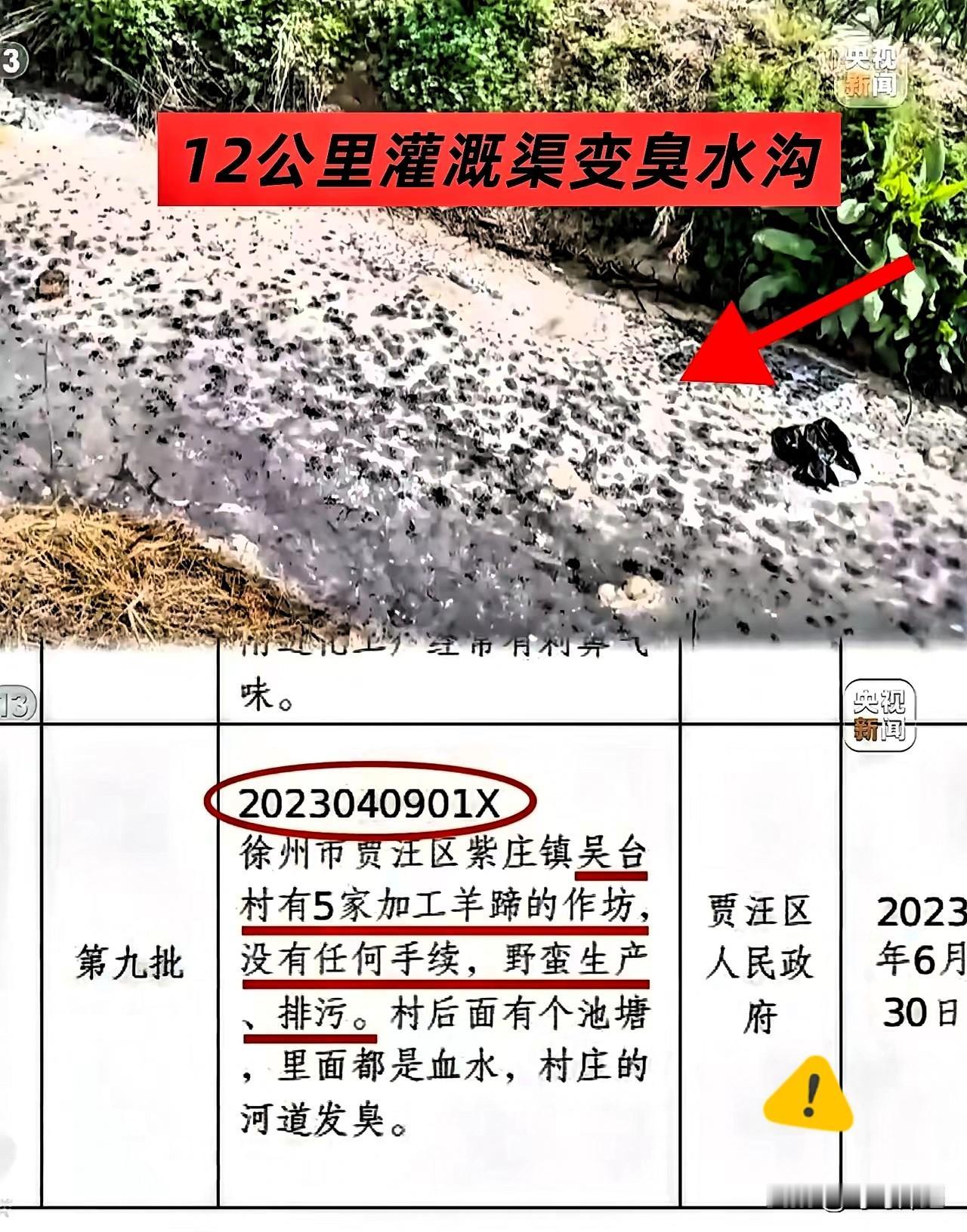 摄像机太厉害！这下咱们可算是看明白了，有些事儿，老百姓跑断腿，不如央视一台摄像机