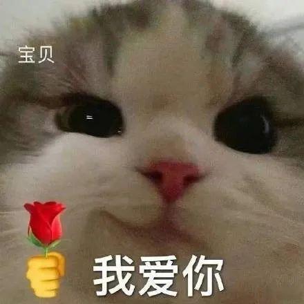 车圈的黑科技内卷太猛了！车圈卷的不止是配置更是黑科技 全主动悬架过坎如履平地，车