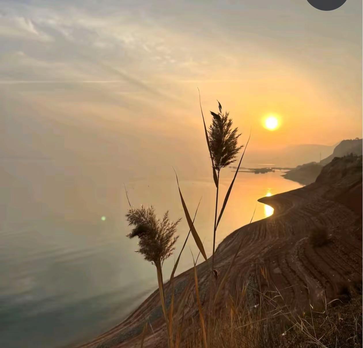 总以为时间很慢，可明天就立秋了！今年你收获了什么?失去了什么?想见的人见了吗?你