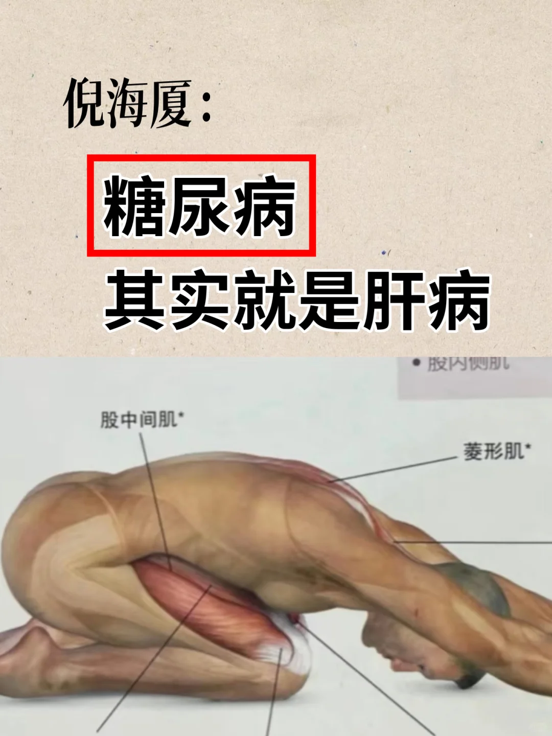 糖尿病，其实就是肝病 / 倪海厦：糖尿病其实是一种与肝脏密切相关的疾病...