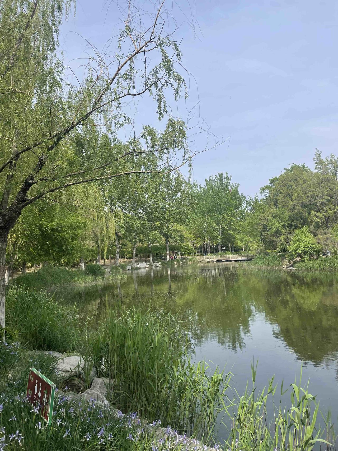 我新发布的内容被官方推荐啦！👍你也快来发布一条吧！带记录真实生活话题，更容易被