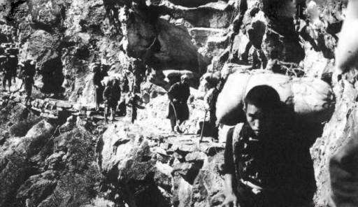 1951年，阿里驻军断粮，连马都杀了吃。眼看全军都要饿死，一个小战士干了一件事，