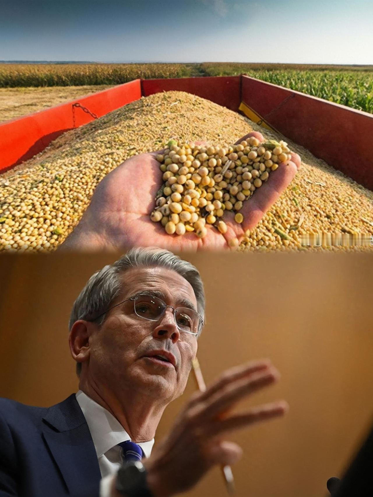 快讯！
东方大国突然宣布了
10月29号，中粮集团又双叒叕是从美国采购了18万吨