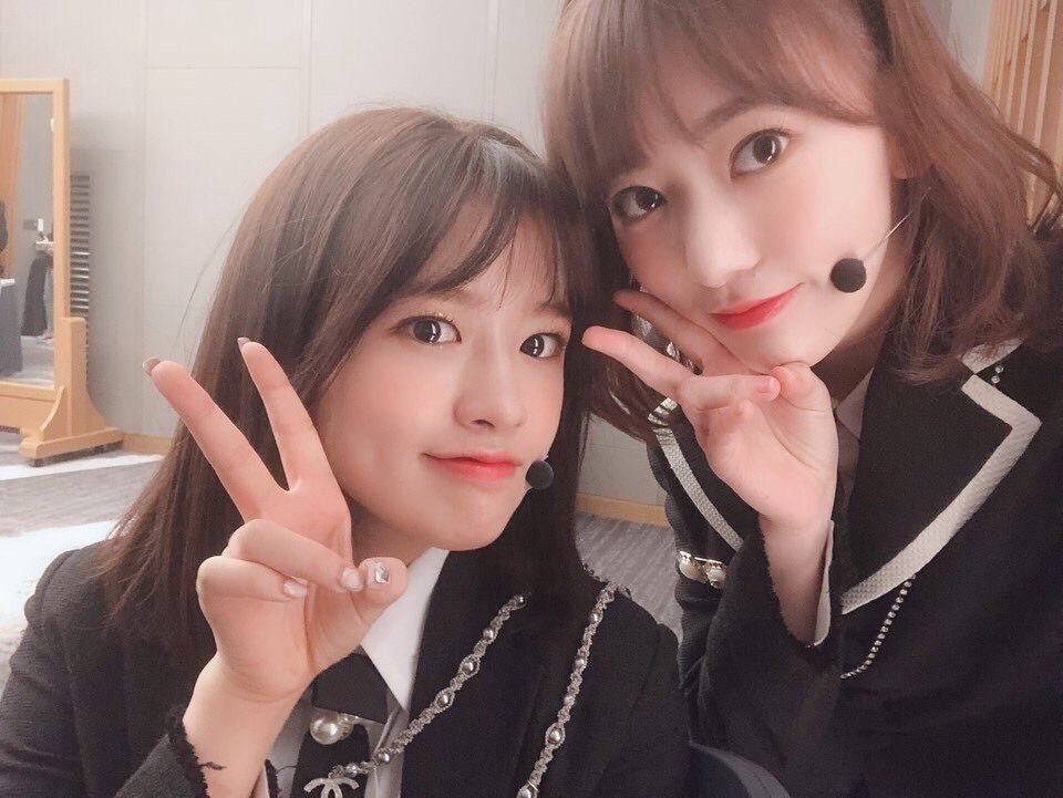 安宥真  珍贵的幼犬🐶时期安宥真