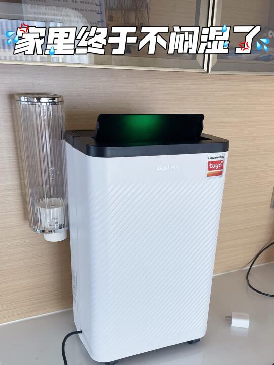 🔔入梅警告！在雨季保持干爽