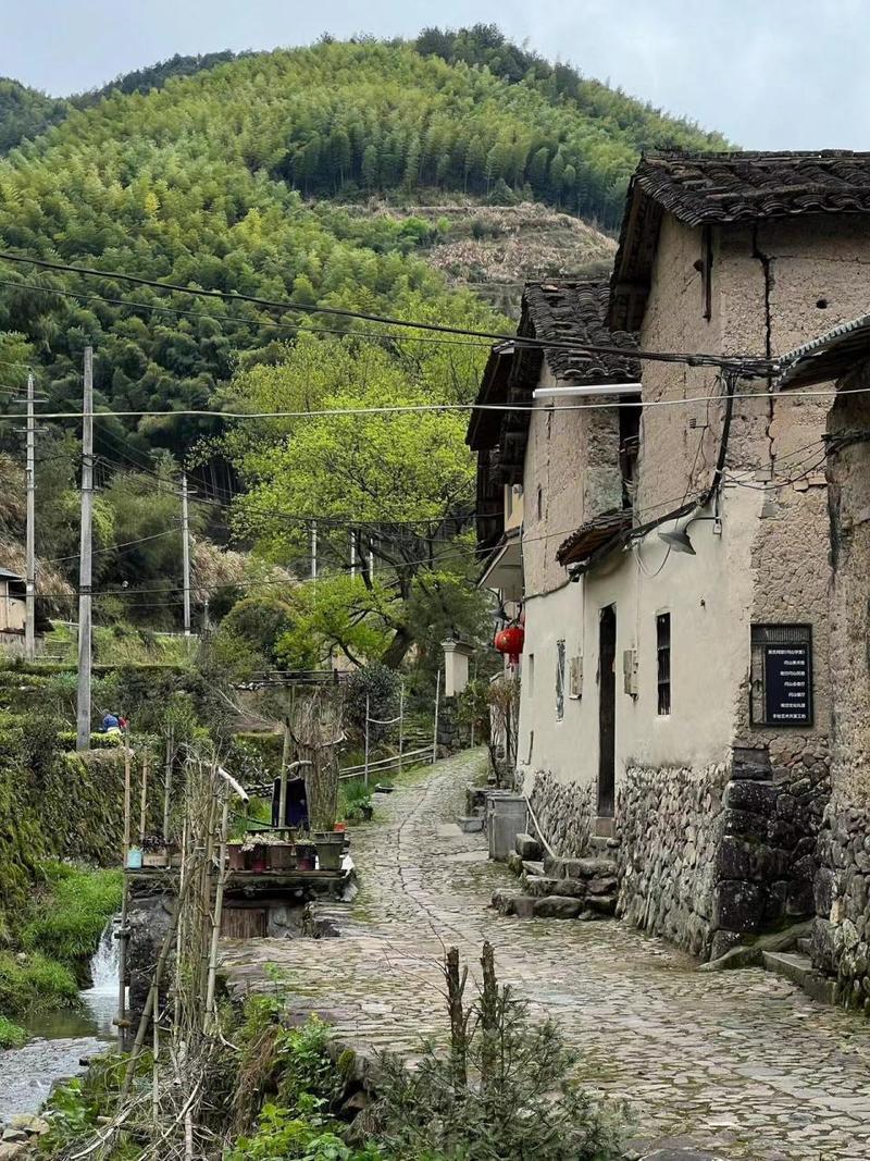 你以为“贫穷”只是锅里没米、兜里没钱吗？其实它更像一堵无形的墙，悄悄挡住了生活里