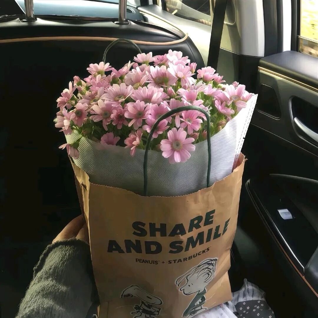 🐇 Ꮺ ⋆ ⩇⩇:⩇⩇ 🧸“只要一直在变好，慢一点也没关系。 相信日日是好日