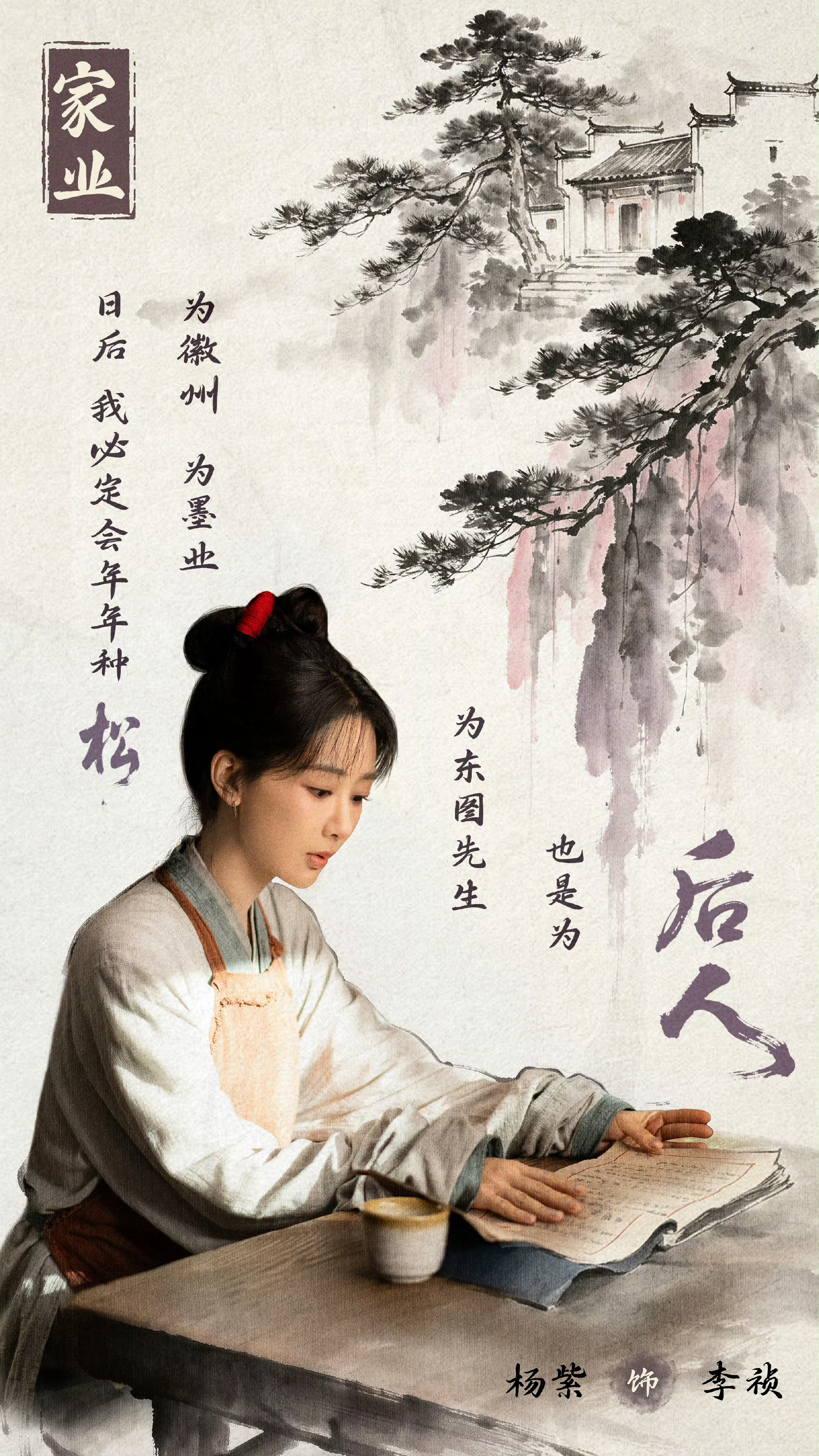杨紫家业海报 
