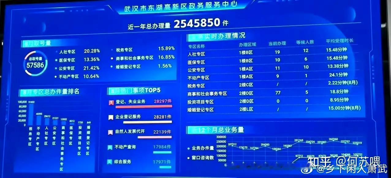 武汉市东湖高新区政务中心2024年8月办理的热门政务事件中，拍第一位的是“登记、