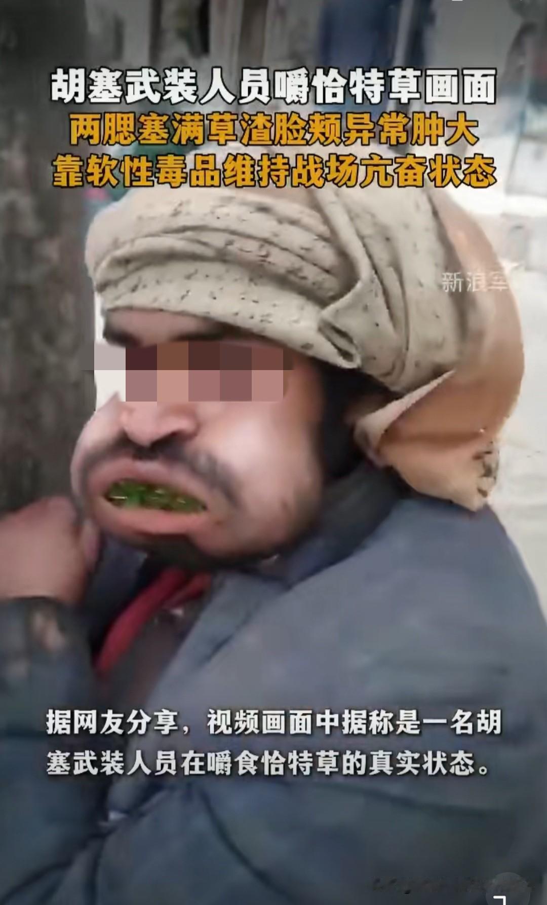 这一幕太好笑啦！外网近期流传着这样一个视频，胡塞武装人员嘴里咀嚼着大量草叶，两腮